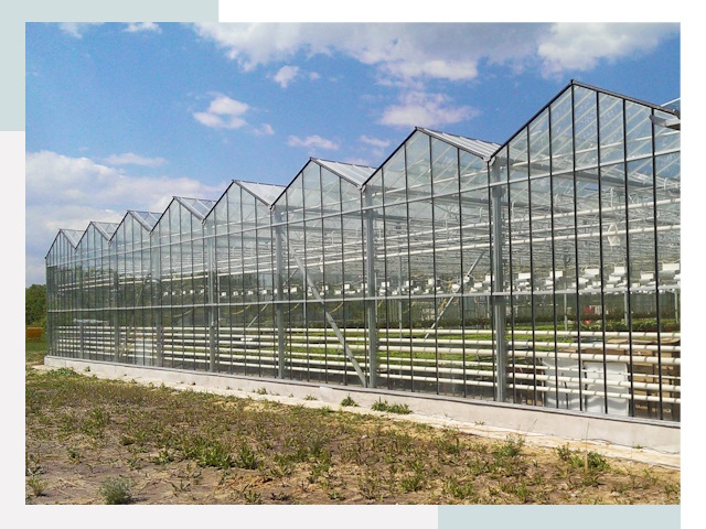 Строительство теплиц в Темрюк от 618 руб. за м²