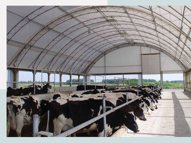 Тентовые коровники в Темрюке